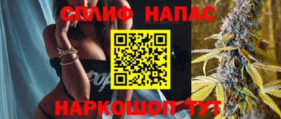 хмурый Гай