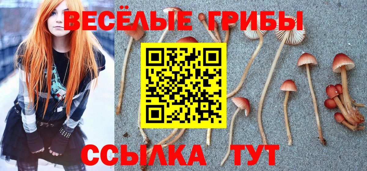 Псилоцибиновые грибы MAGIC MUSHROOMS Калуга